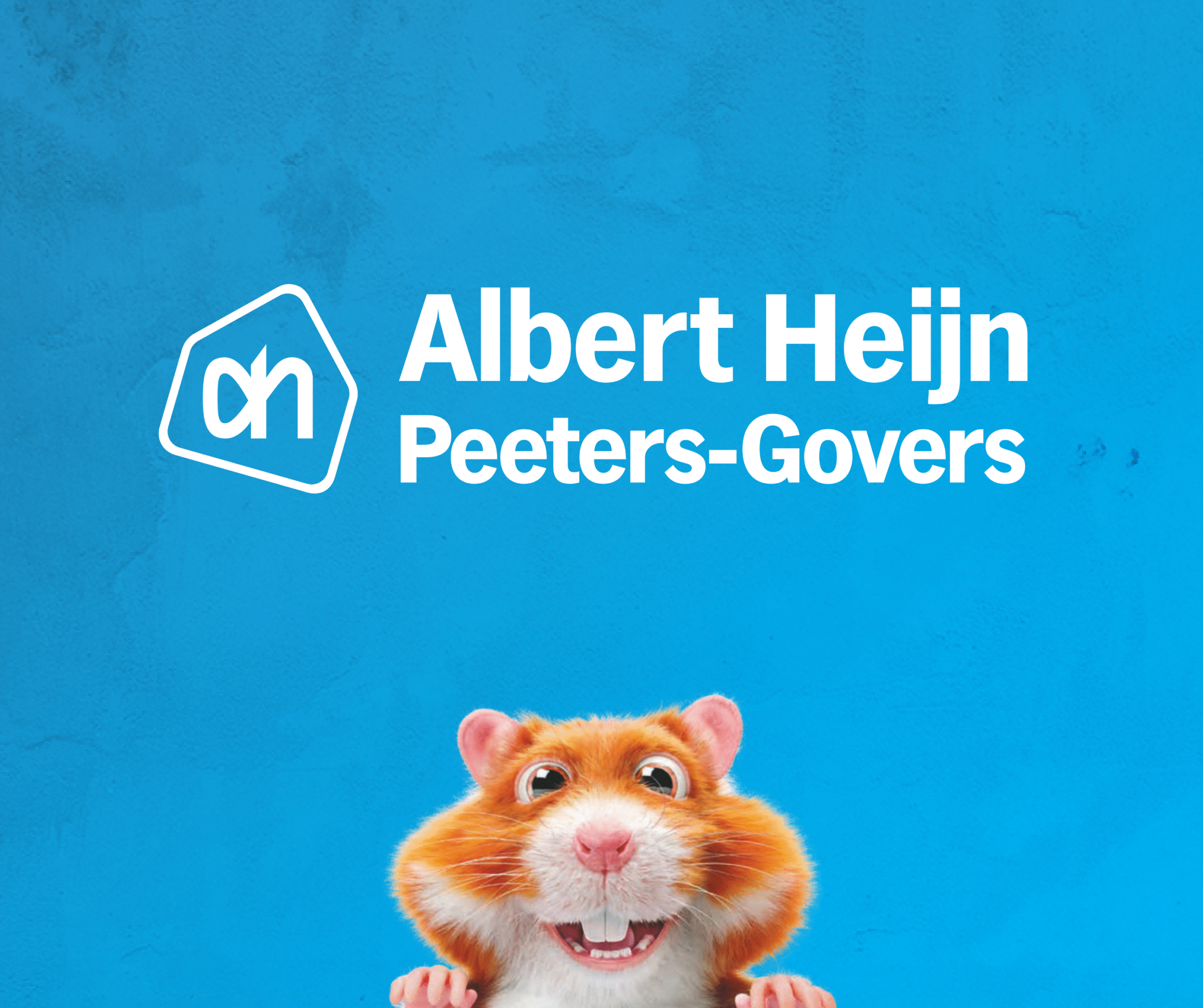 Albert Hein logo